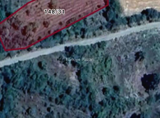 BOĞA BAG KÖYÜ YOL CEPHELİ 1129 M2 TEK TAPU SATILIK BAĞ