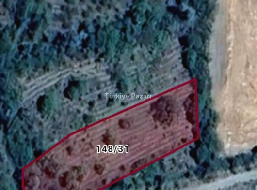 BOĞA BAG KÖYÜ YOL CEPHELİ 1129 M2 TEK TAPU SATILIK BAĞ