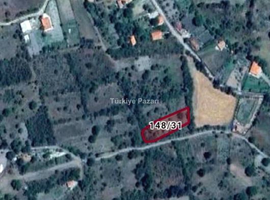 BOĞA BAG KÖYÜ YOL CEPHELİ 1129 M2 TEK TAPU SATILIK BAĞ