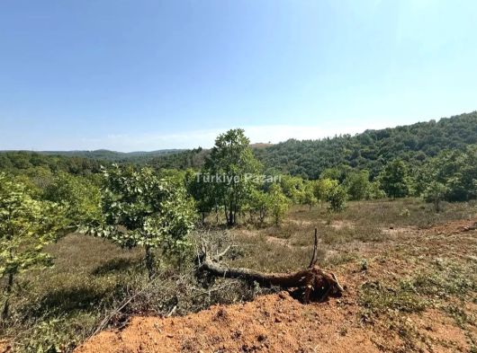 ÇANAKKALE ÇAN BOZGUÇ YOLA CEPHE MÜSTAKİL TAPULU DEV YATIRIM FIRSATI 16300 M2