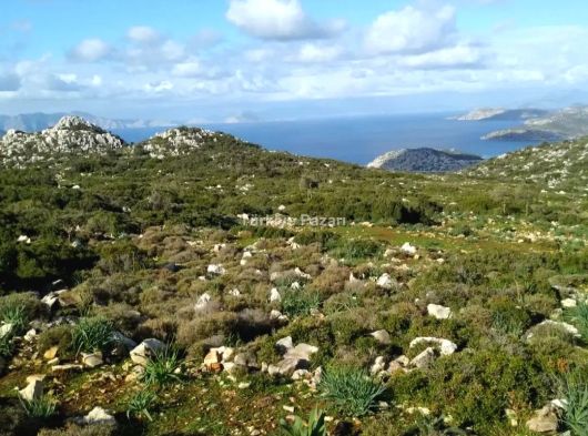 MUĞLA MARMARİS TAŞLICA DENİZ MANZARALI MÜSTAKİL TAPULU TARLA 818 M2