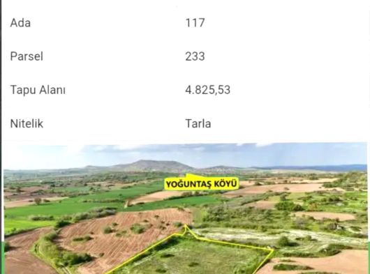 KELEPİRİN KELEPİRİ SATIŞTA