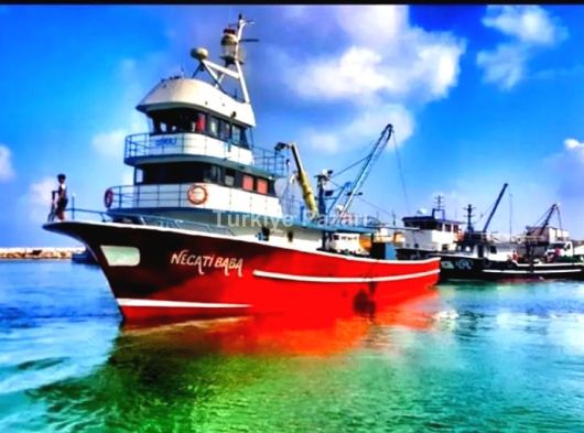 Tam teşkilat trol gırgır