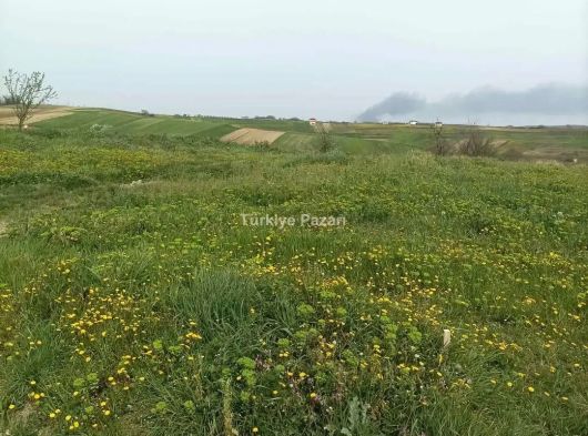 Sakarya Kaynarcadadır %40 in imarlı arsa 