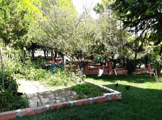 Denizli Sarayköy Bala Mh. Gedikli Çay'da Kaçırılmayacak Fırsat!