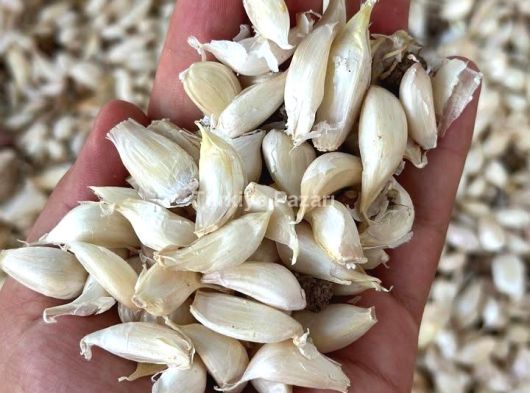 Otomobil ruhsatlı connect