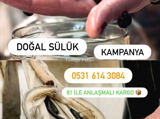 Otomobil ruhsatlı connect