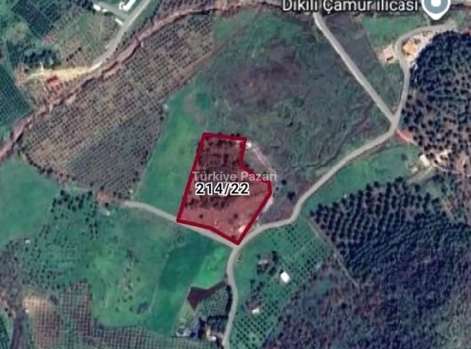 HAYAL EMLAK'TAN İZMİR DİKİLİ SALİMBEY'DE SATILIK TARLA
