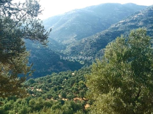 AYDIN EFELER AŞAĞIKAYACIK MAHALLESİNDE