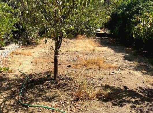 MENDERES ATAKÖY TEK TAPU 2500 M2 ARAZİ