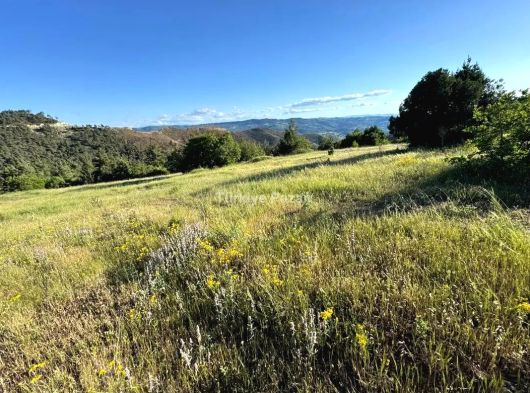 BURSA BÜYÜKORHAN ÇÖKENE MÜSTAKİL TAPULU YATIRIMLIK ÇİFTLİK YAPIMINA UYGUN TARLA 14 DÖNÜM