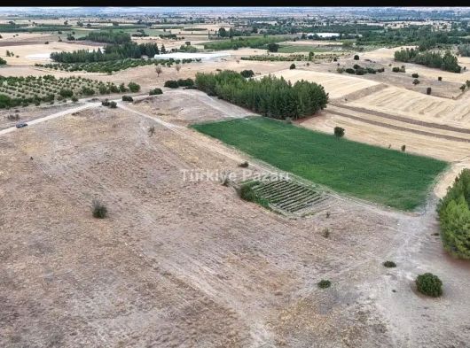 SAHİBİNDEN BU BAĞLA ARANIZDA GÖNÜL BAĞI KURACAKSINIZ DENİZLİ ÇAL AŞAĞI SEYİTTE PARSEL4171