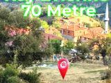 SİNOP DURAĞAN DERELİ KÖY DİBİNDE MUAAZAM KELEPİR MÜSTAKİL TAPULU TARLA 2045 M2