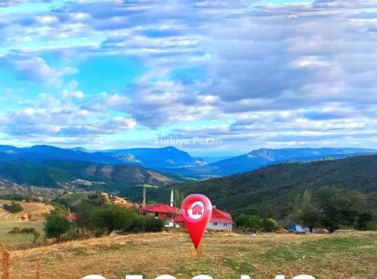 SİNOP DURAĞAN DERELİ KÖY DİBİNDE MUAAZAM KELEPİR MÜSTAKİL TAPULU TARLA 2045 M2