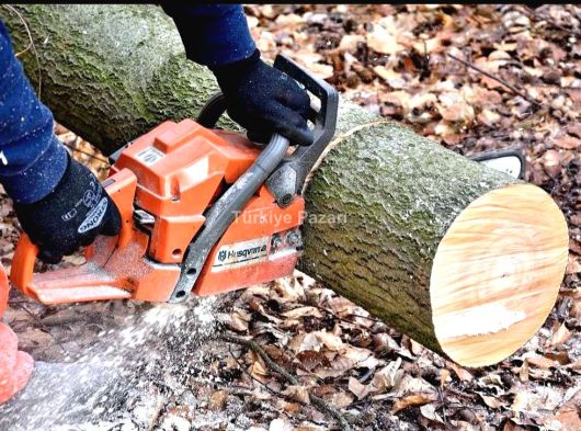 kışlık yakacak odun