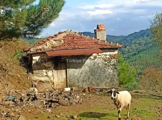 İZMİR BERGAMA ORUÇLAR MÜSTAKİL TAPULU KÖYEVİ 170 M2