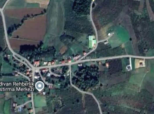 755m2 resmi kadastro yola cephe fındık bahçesi