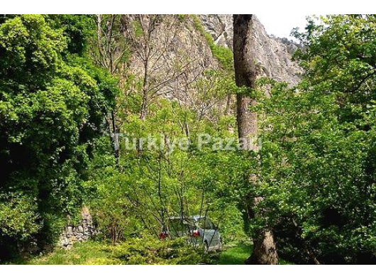 bolu abant ta Ceylin kiralik dag evi