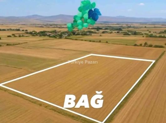 ACİL FİYAT DÜŞTÜ BARSAMADA 1175 M2 PARSEL FİYATA 4+1+1 HAVUZLU MEYVE BAHCELİ VİLLA