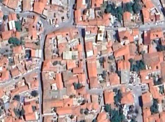 Kırkağaç bakır satılık zeytinlik