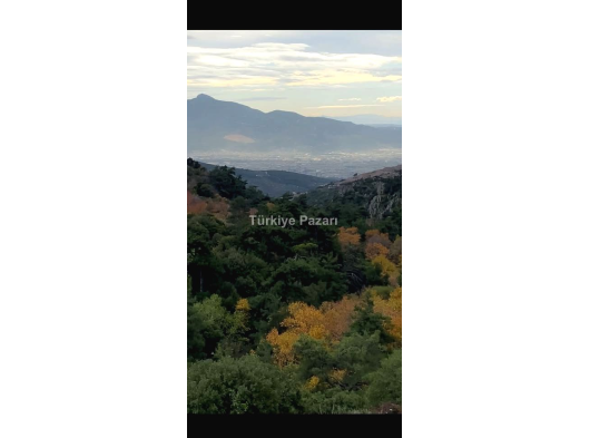 BORNOVA ÇAMİÇİ SATILIK FULL MANZARALI ARSA VİLLA BÖLGESİ ARAÇ TAKASLI
