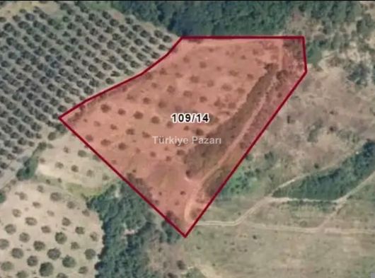 BURSA OSMANGAZİ SEÇKÖY’DE, 8.820 M² TEK TAPU YOLU OLAN SUYA YAKIN SATILIK TARLA