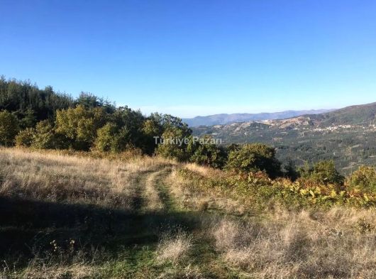 BURSA OSMANGAZİ SEÇKÖY’DE 3.759 M² TEK TAPU KADASTRO YOLUNA CEPHELİ DOĞA MANZARALI SATILIK TARLA