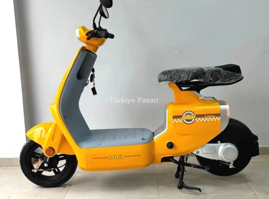 EHLİYETSİZ ALTAİ E STELLA