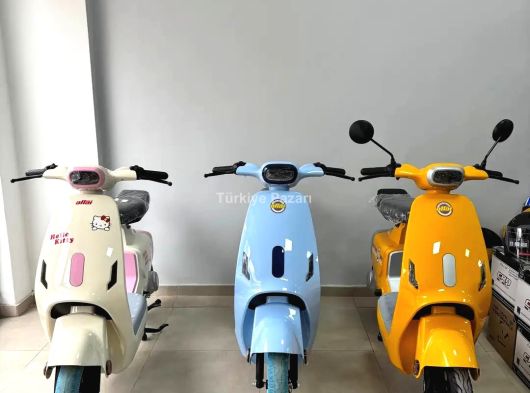 EHLİYETSİZ ALTAİ E STELLA