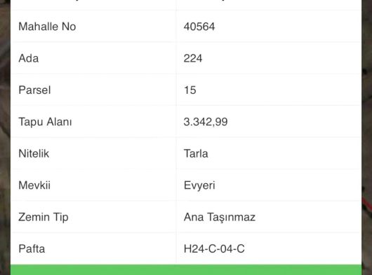 İstanbul’a 2 Saat | Yenipazar Esenköy’de Verimli 3.340 m2