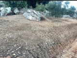 VİLLA ARSASI VE ERİK BAHÇESİ
