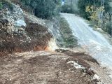 VİLLA ARSASI VE ERİK BAHÇESİ