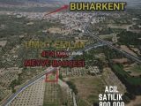 474 m² Meyve Bahçesi