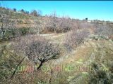 2.838 M2 MEYVE BAHÇESİ SATILIK
