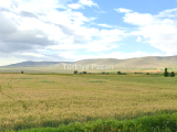 KOMİSYONSUZ  4.960 M2 KAÇMAZ FIRSAT...! 
