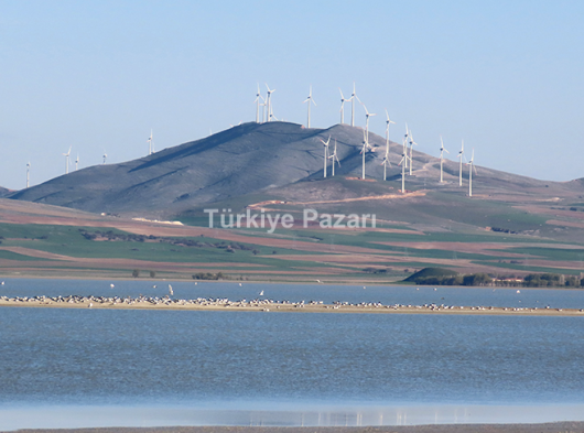  KOMİSYONSUZ SEYFE GÖLÜ KUŞ CENNETİNE YAKIN KONUTA UYGUN 359 M2
