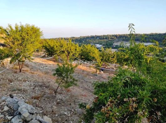 SATIŞ FİYATI 11.000 .000 TL