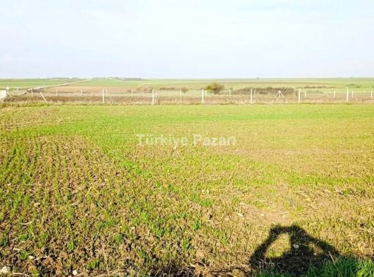 **TEKİRDAĞ ERGENE BAKIRCA'DA MUHTEŞEM YATIRIM FIRSATI!**