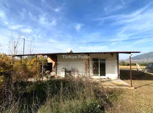 AYDIN / NAZİLLİ – HAMZALLI MAHALLESİNDE SATILIK MEYVE BAHÇESİ & TARLA FİYATTT DÜŞTÜ