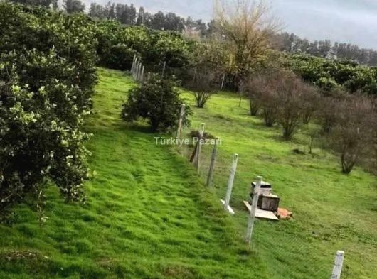 Kuşadası Davutlar’da Villa Konseptinde Çatı Dublex Daire 