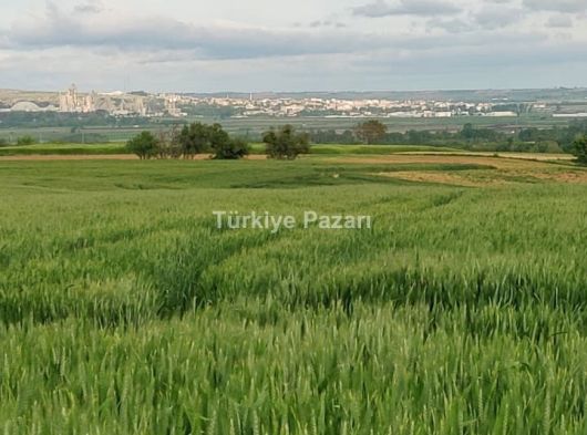 Çatalca Nakkaş  mahallesinde Acilen satılık tarla 2,426.m2 satılıktır.