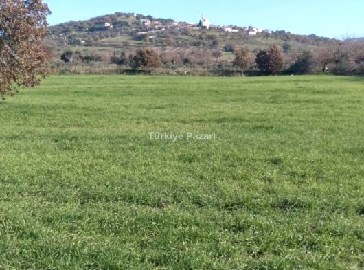 MANİSA AKÇAKÖY MAH SATILIK TARIMA HAZIR TARLA