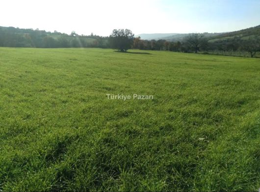 MANİSA AKÇAKÖY MAH SATILIK TARIMA HAZIR TARLA
