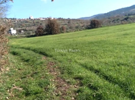 MANİSA AKÇAKÖY MAH SATILIK TARIMA HAZIR TARLA