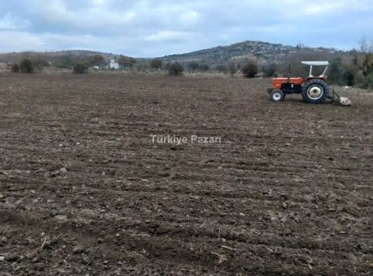 MANİSA AKÇAKÖY MAH SATILIK TARIMA HAZIR TARLA