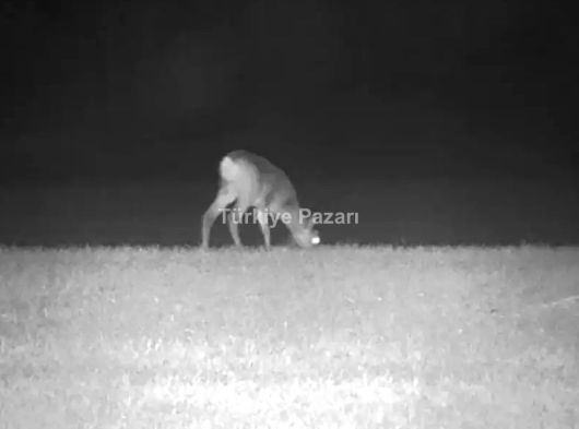 GECE GÖRÜŞ DÜRBÜNÜ