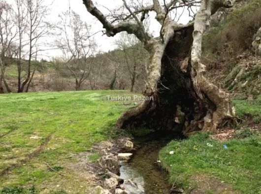 SATILIK 1+1 KATDA VARSAK AYDOĞMUŞ MAH ABD MUTFAK SIFIR ASANSÖRLÜ DAİRE