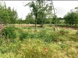BURSA YENİŞEHİR İNCİRLİ KÖYÜ SATILIK ARAZİ