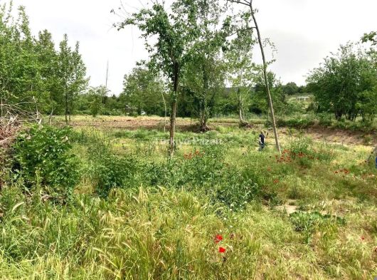 BURSA YENİŞEHİR İNCİRLİ KÖYÜ SATILIK ARAZİ