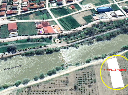 BİLECİK OSMANELİ'nde SATILIK TARLA.